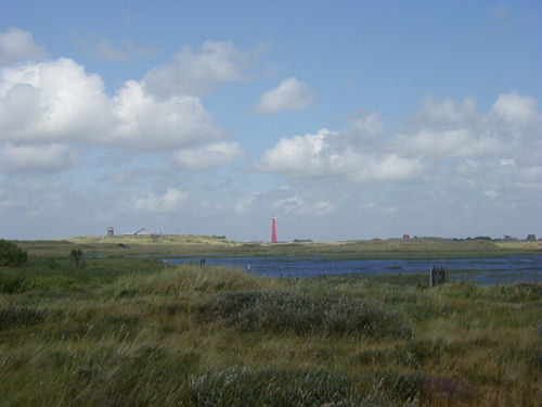 DenHelder018